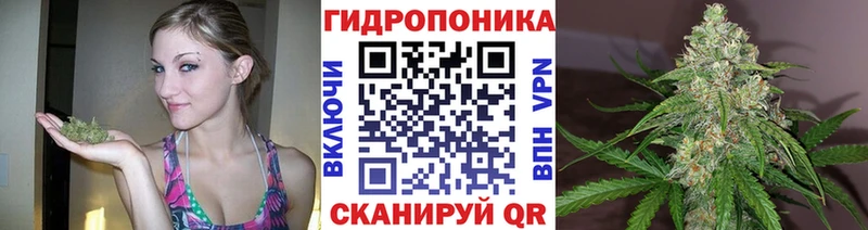 Где купить наркоту Терек Альфа ПВП МЕФ Кокаин